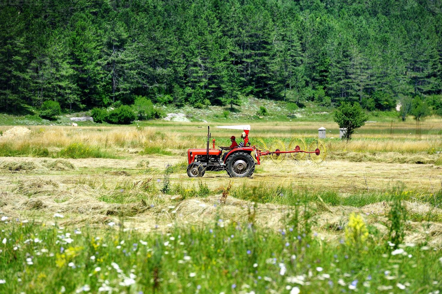 Turning over the harvest photo