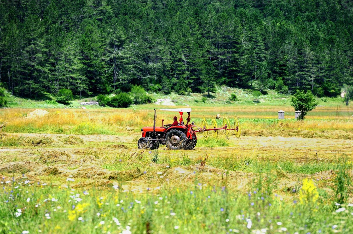 Turning over the harvest photo