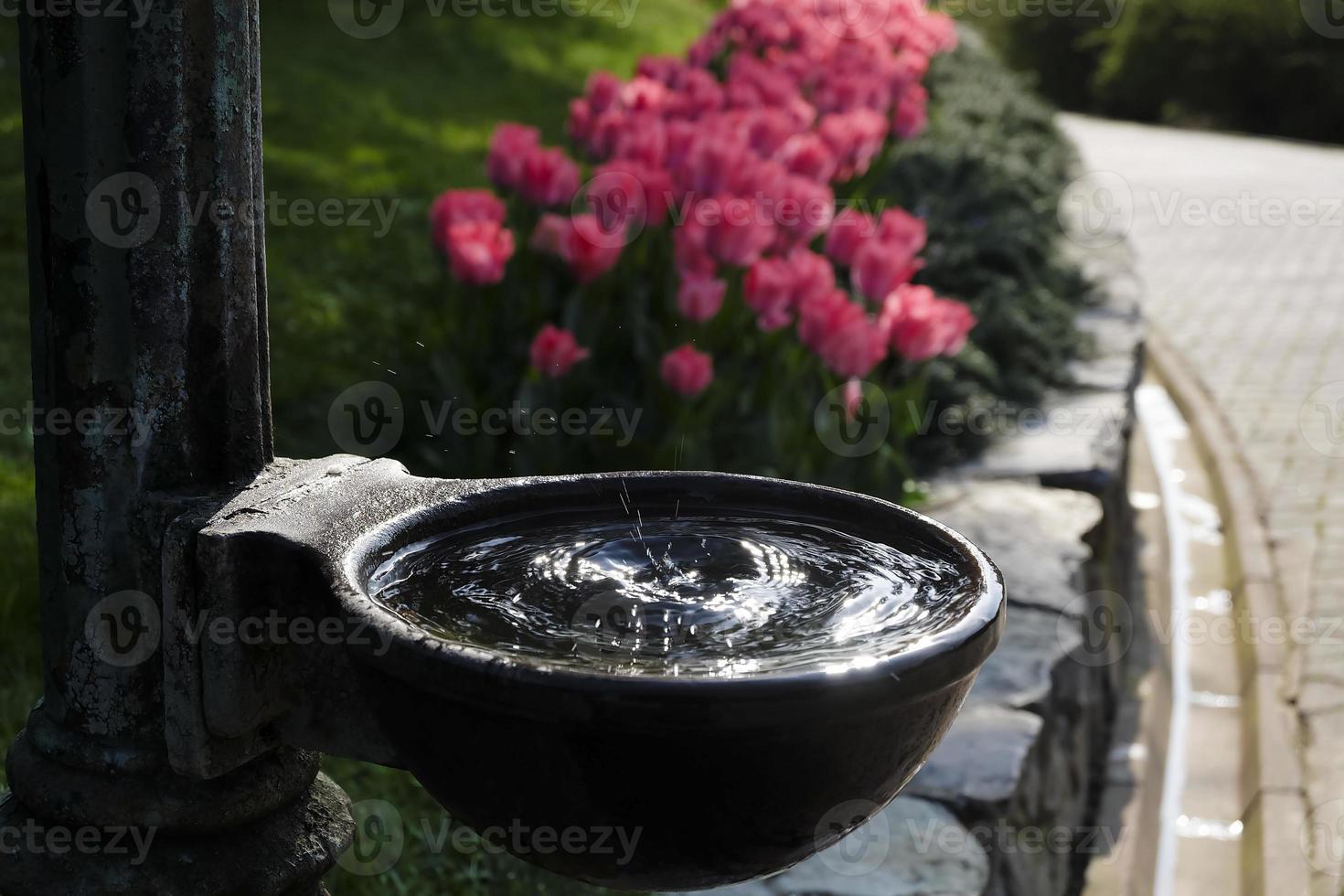 agua goteando en un recipiente con agua y tulipanes rosados borrosos foto