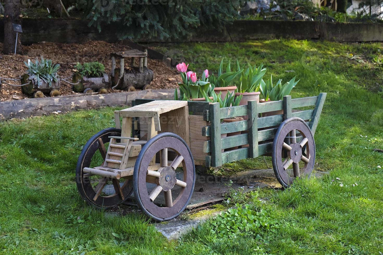 Camión de madera con lleno de tulipanes sobre la hierba verde en el jardín ornamental foto