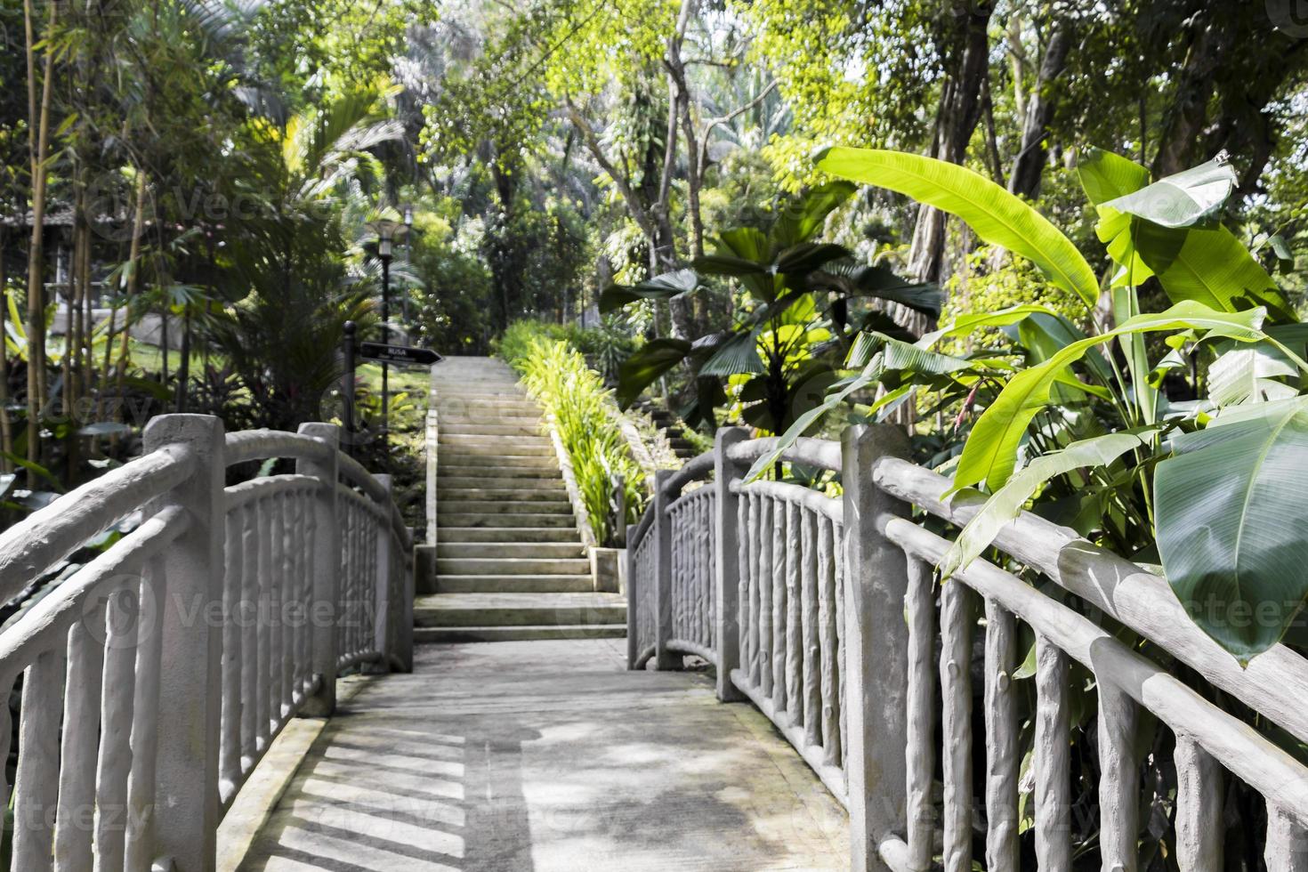 Tropical walking path across small gray bridge, Malaysia. photo