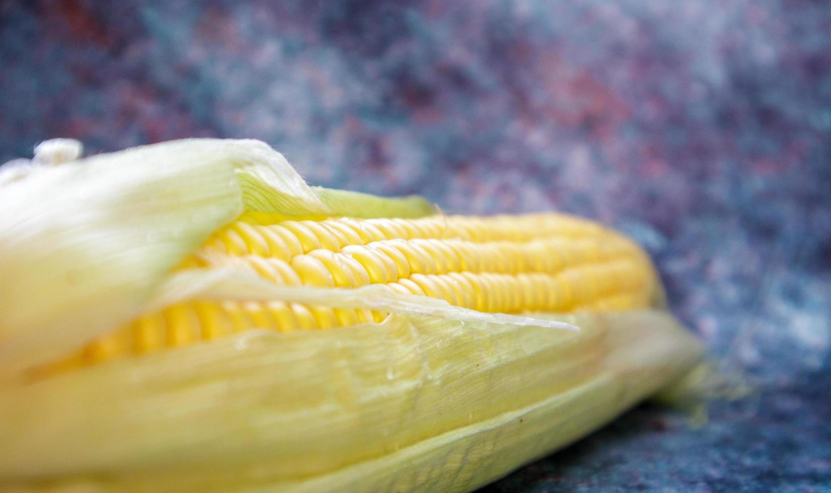 mentir cabeza de maíz dulce. una mazorca de maíz con hojas. cabeza de maiz crudo foto