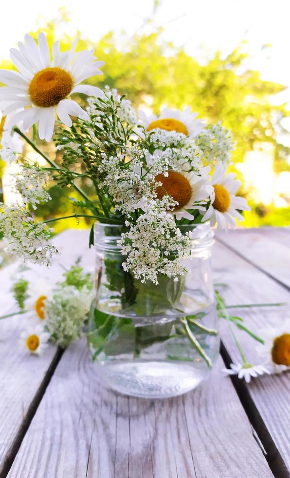 A bouquet of daisies in a glass vase. White daisies in a jar close-up photo