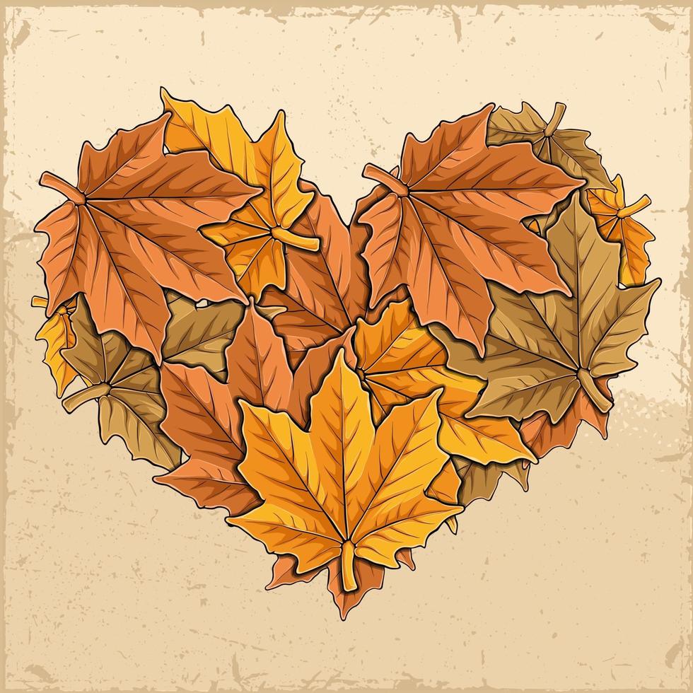 Frame in the shape of a love heart made of an autumn maple leaves vector