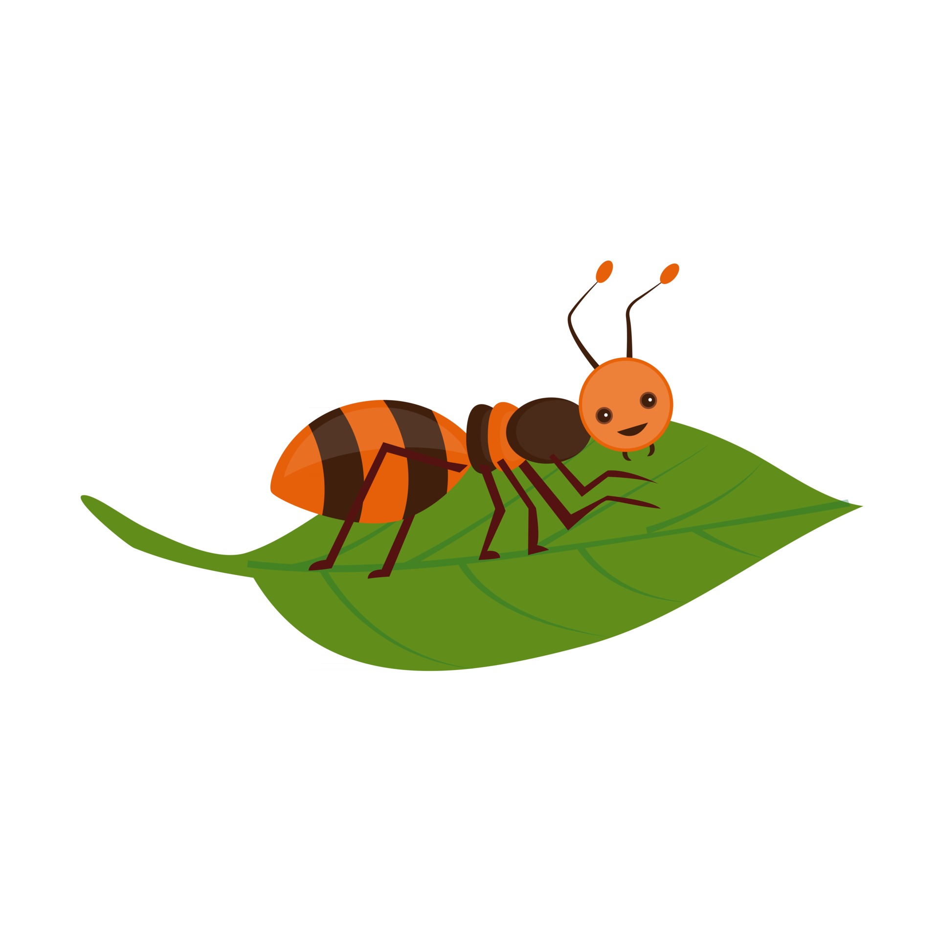 Ant on a leaf cartoon drawing illustration for free download 3462651 Vector Art at Vecteezy Ant on a leaf cartoon drawing illustration for free download 3462651 Vector Art at Vecteezy