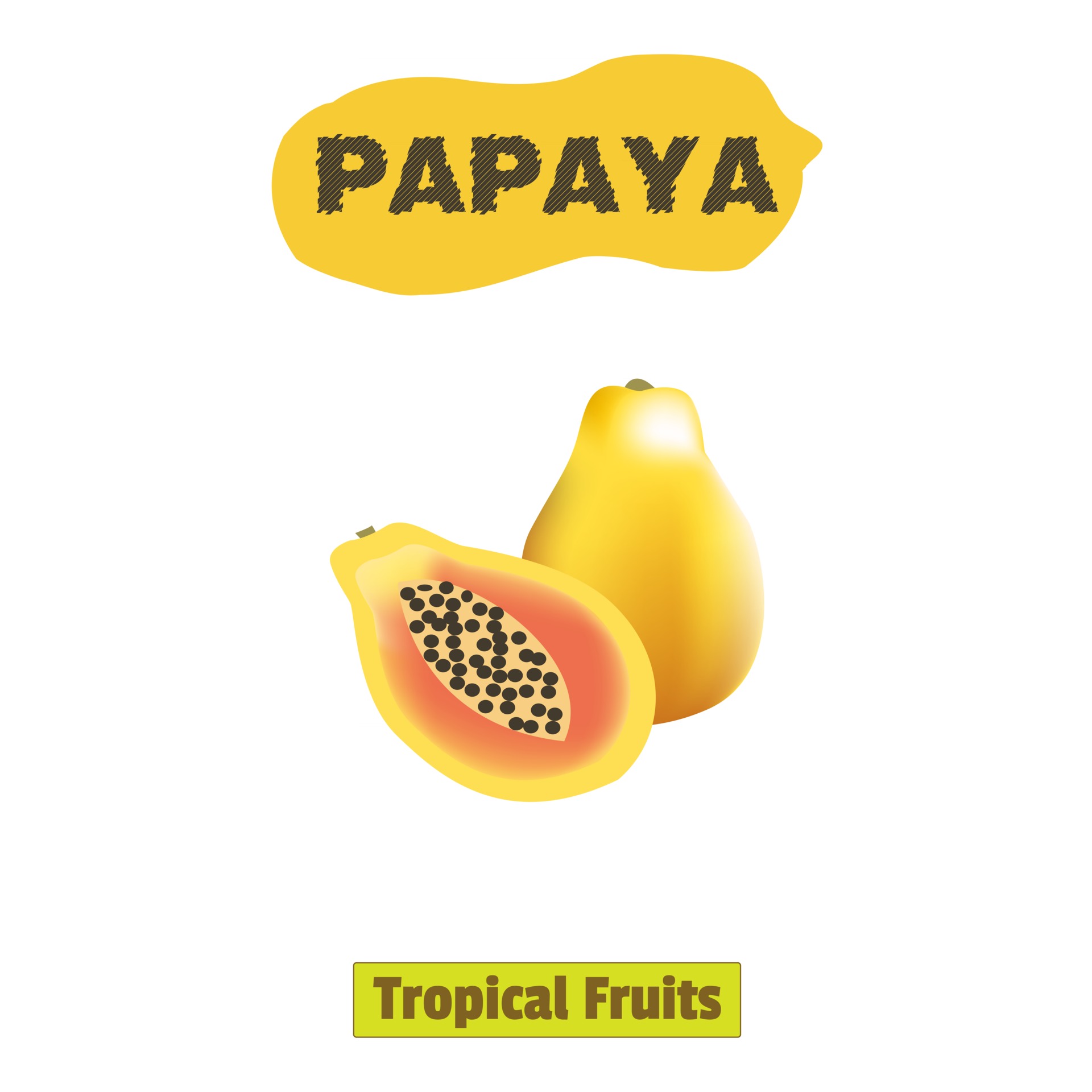 Tropical fruit Papaya free fector illustration design 3462652 Vector