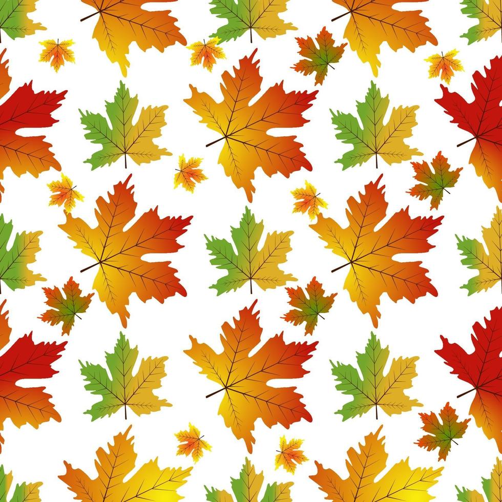 Autumn Set of Orange Maple Leaves vector. vector