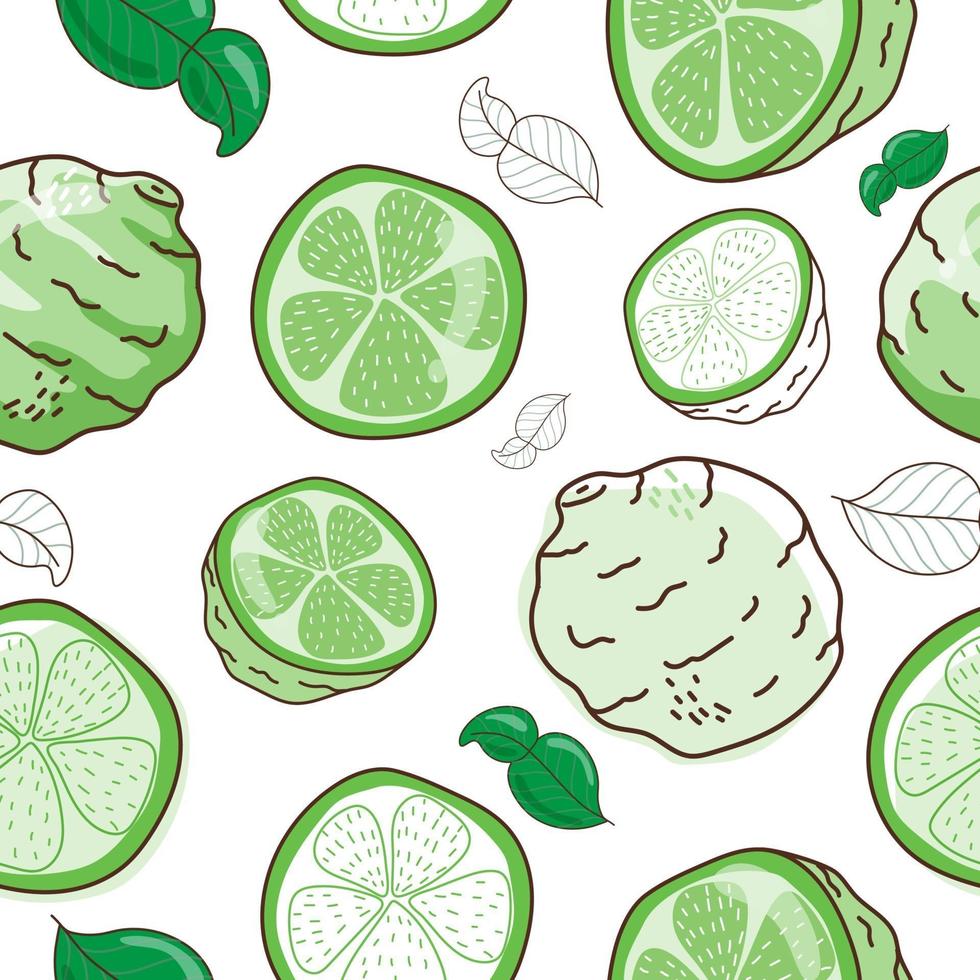 Seamless pattern bergamot and leaf isolated on white background vector