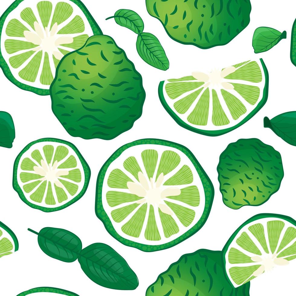 Seamless pattern bergamot and leaf isolated on white background vector