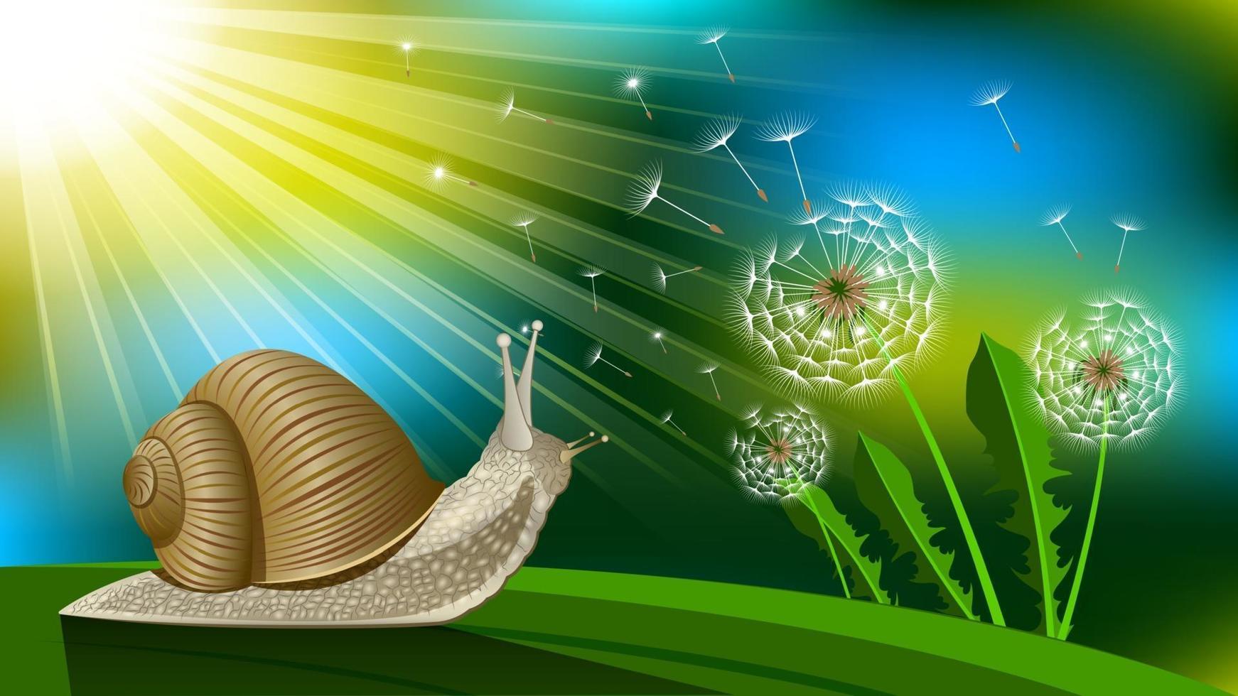 Snail and dandelion bokeh nature background vector