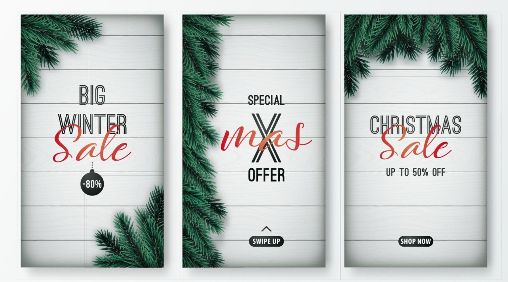 Festive Flat Lay composition with christmas tree branches vector