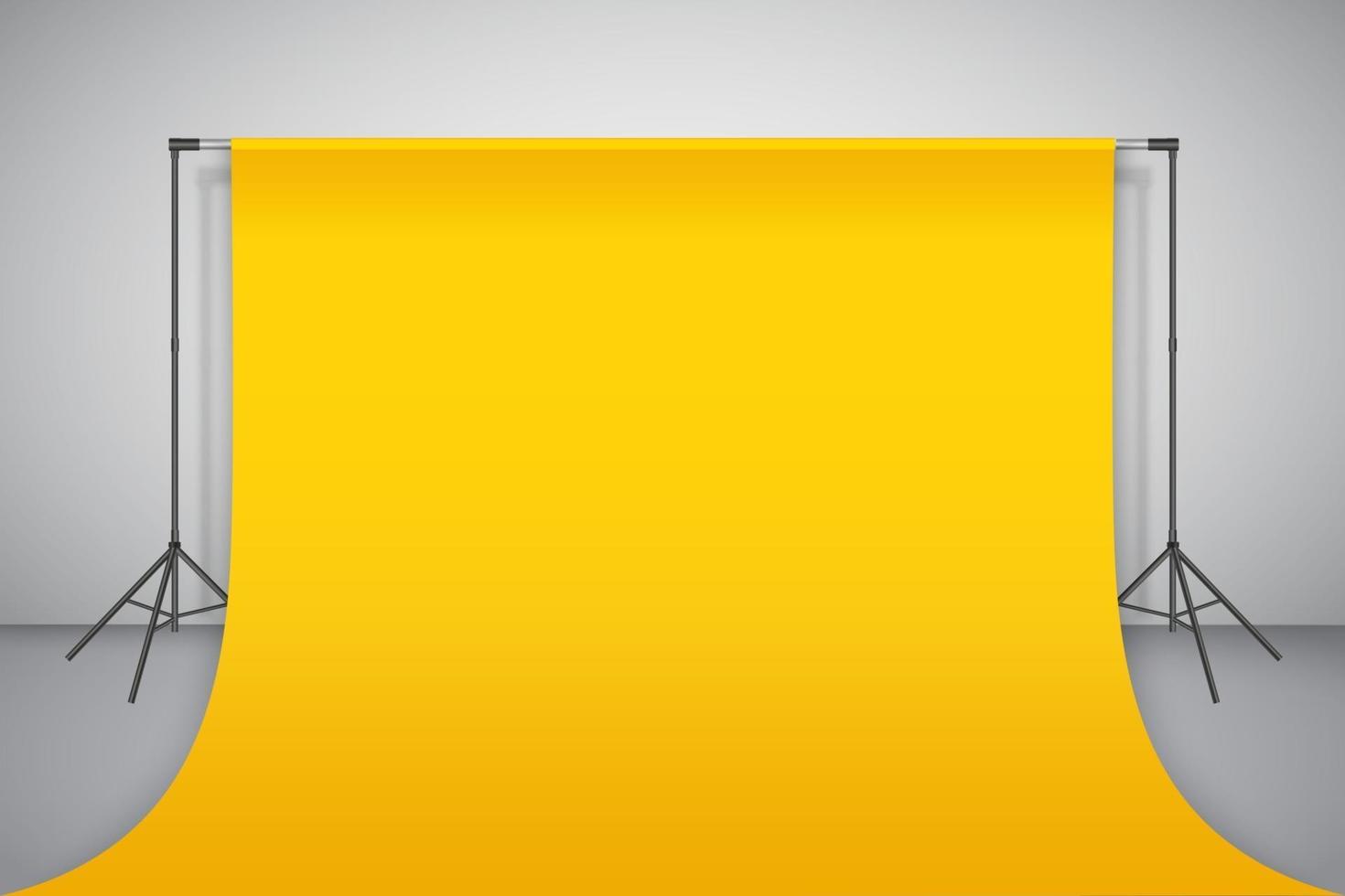 Empty photo studio. Realistic 3D template mock up. Backdrop stand vector