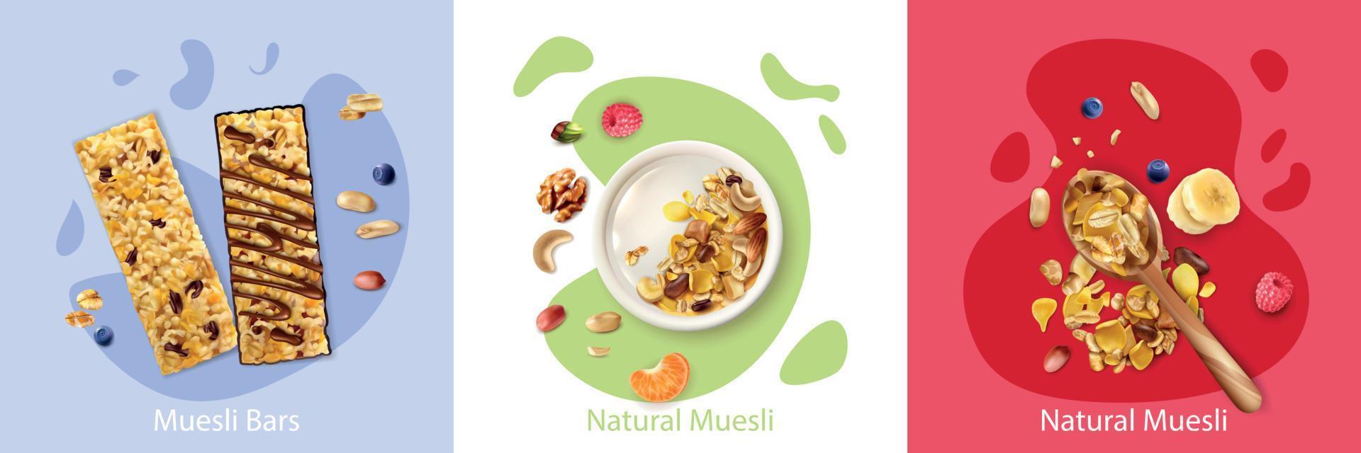 Muesli Design Concept vector