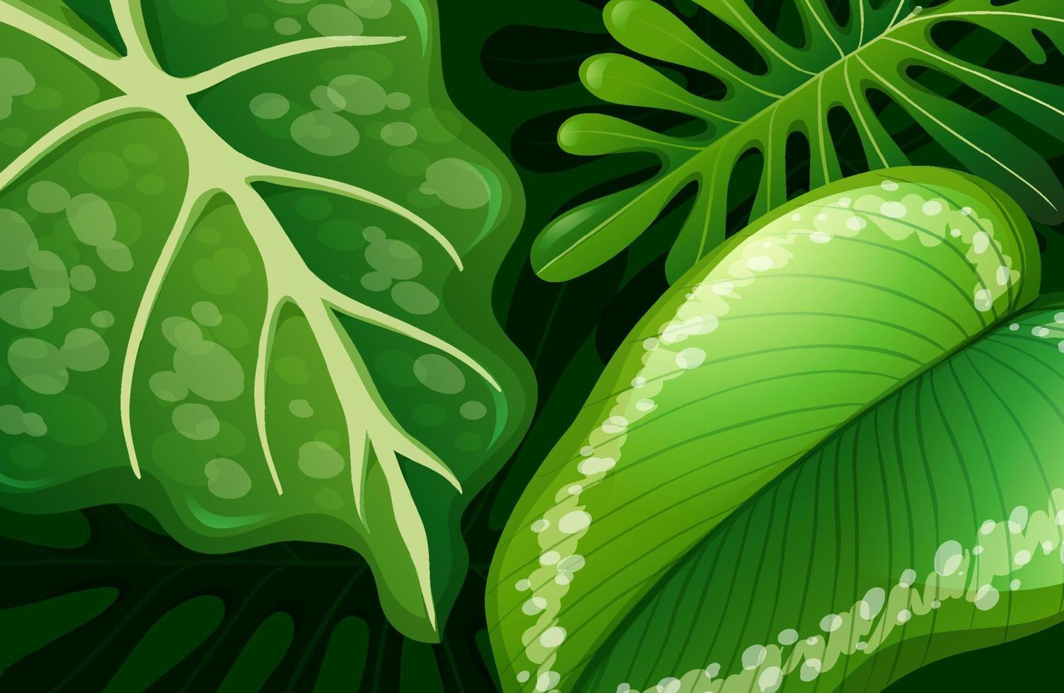 Green tropical leaves background vector