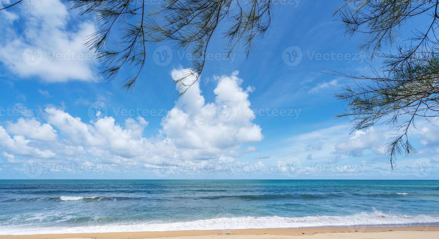 marco de hojas con playa de verano foto