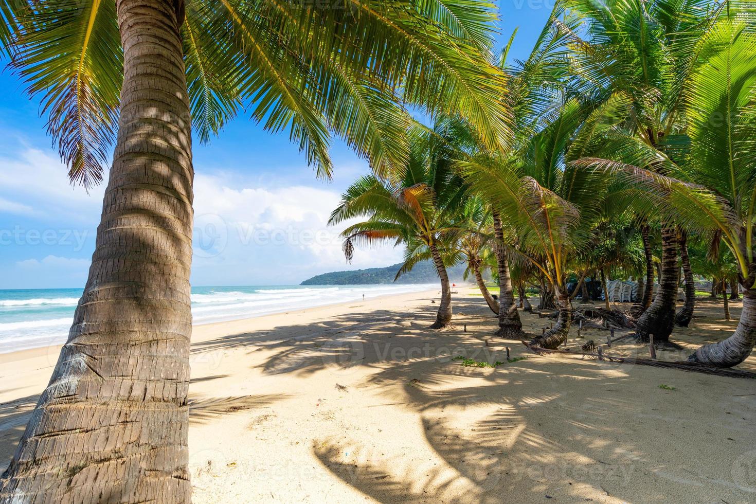 Phuket karon beach Summer beach with palms trees photo