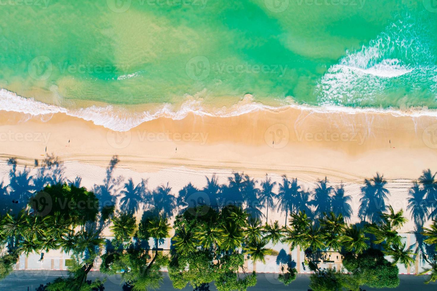 vista aérea de arriba hacia abajo de las palmeras de coco foto