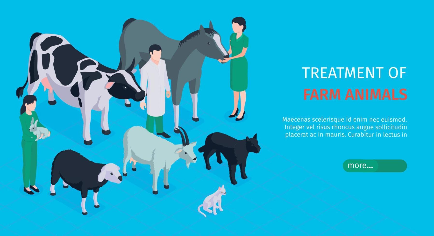 banner horizontal veterinario vector