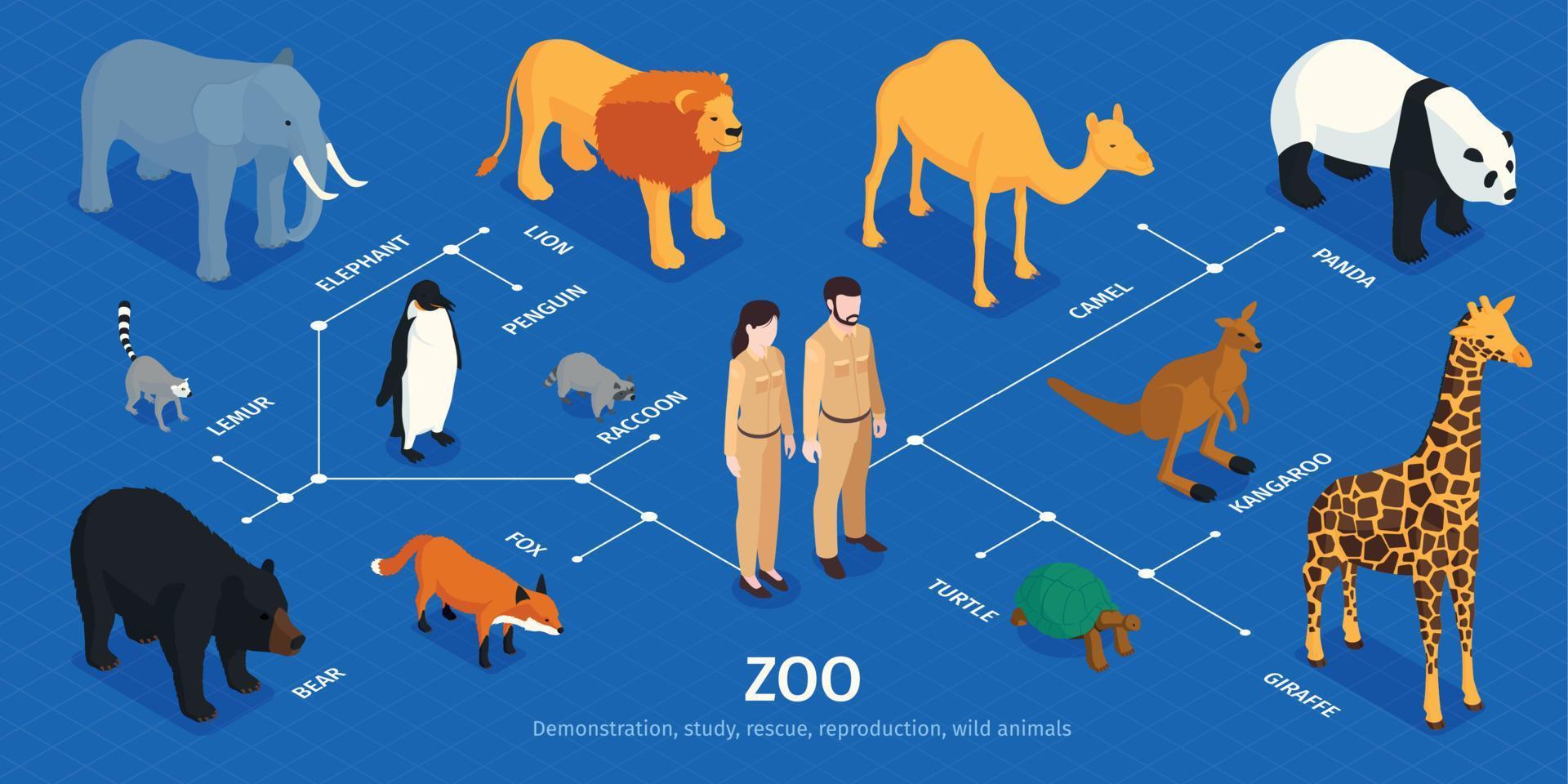 Isometric Zoo Animals Infographics vector