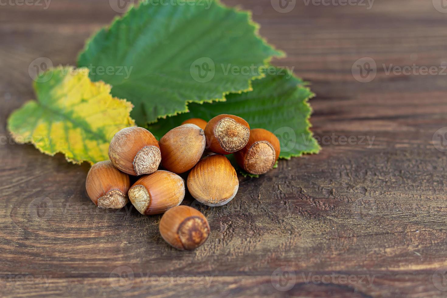 Hazelnuts on a wooden background with green leaves. photo