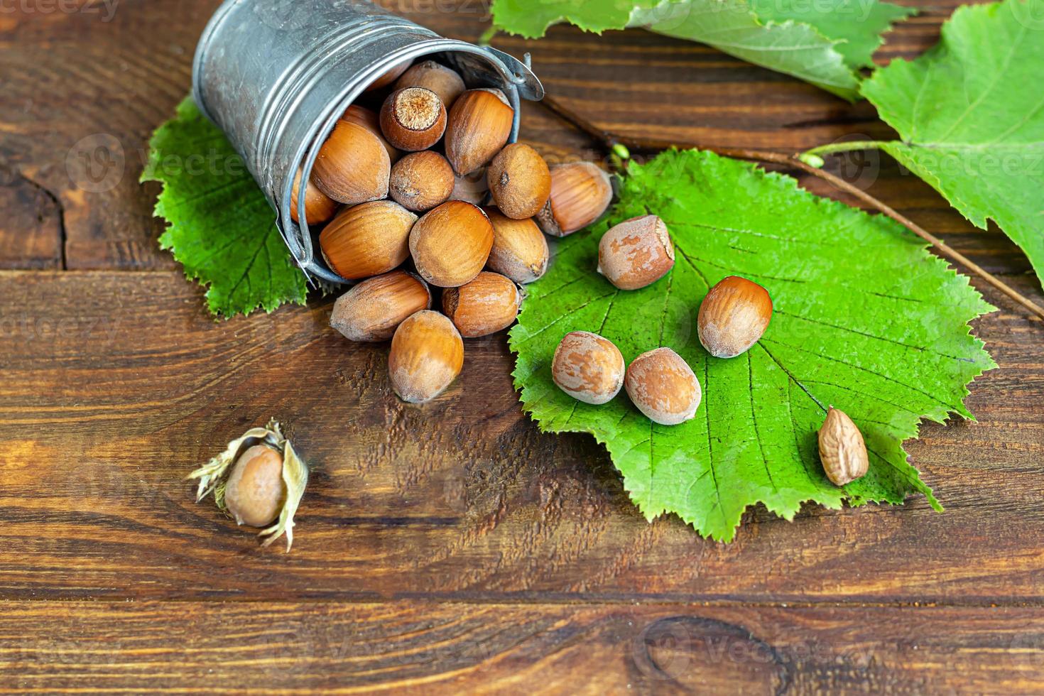 Hazelnuts on a wooden background with green leaves. photo