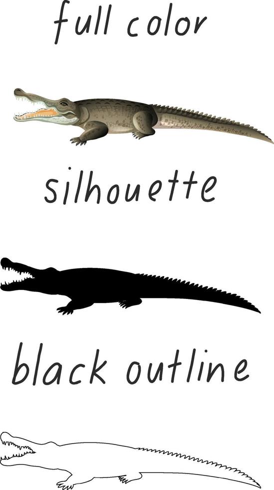 Set of crocodile in color, silhouette and black outline on white background vector