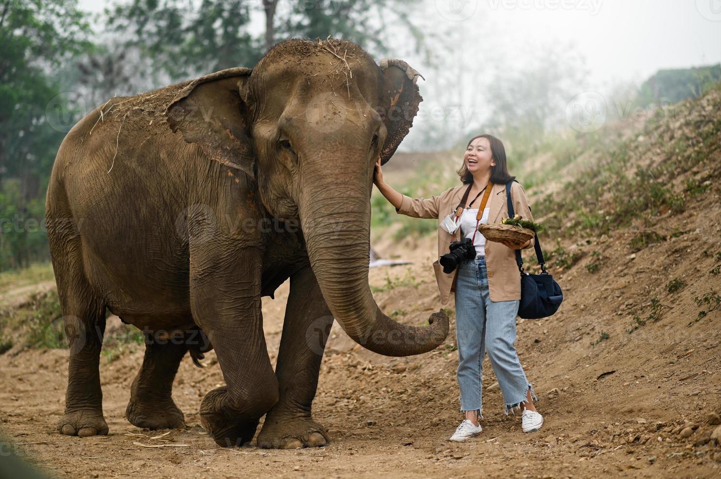 Female tourists feed the elephants in a fun manner. photo