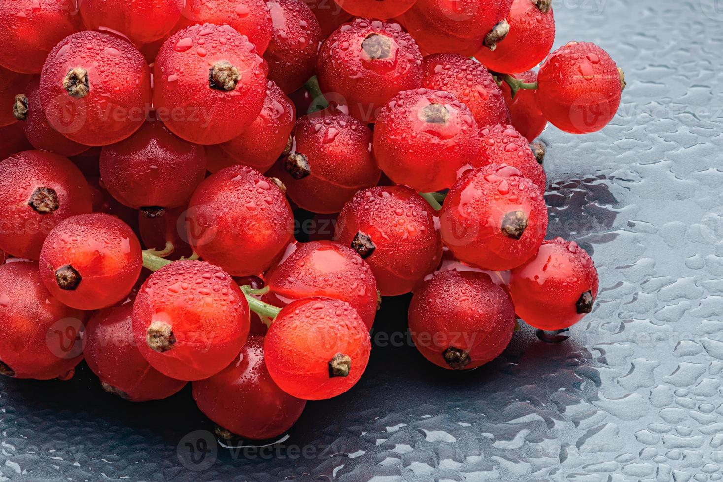 Red currant berries with water drops on the dark grey background. photo