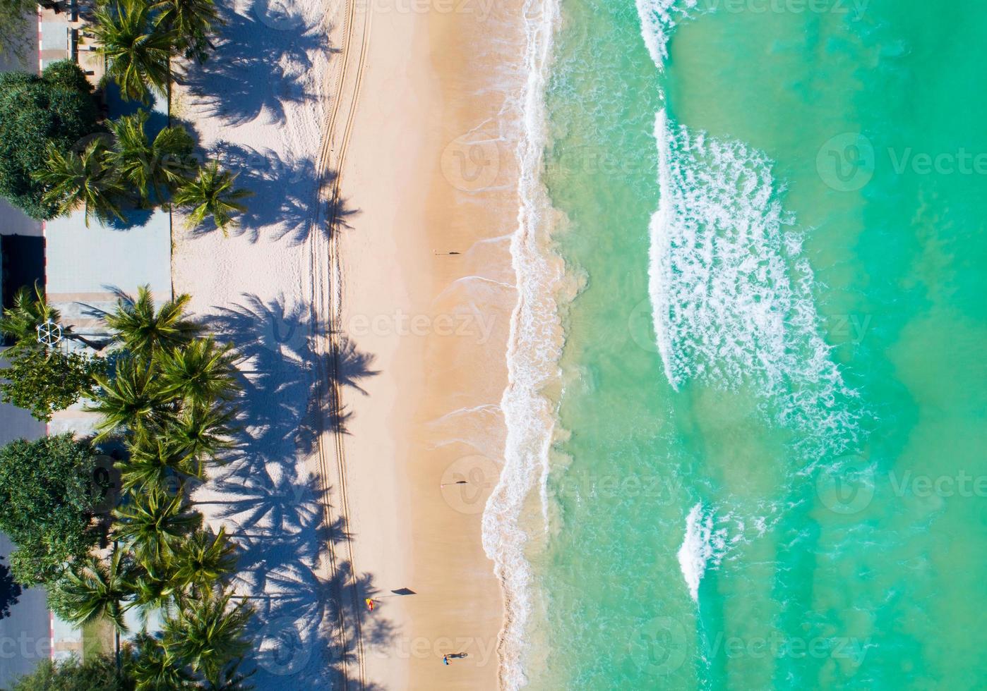 Aerial view top down of Coconut palm trees photo