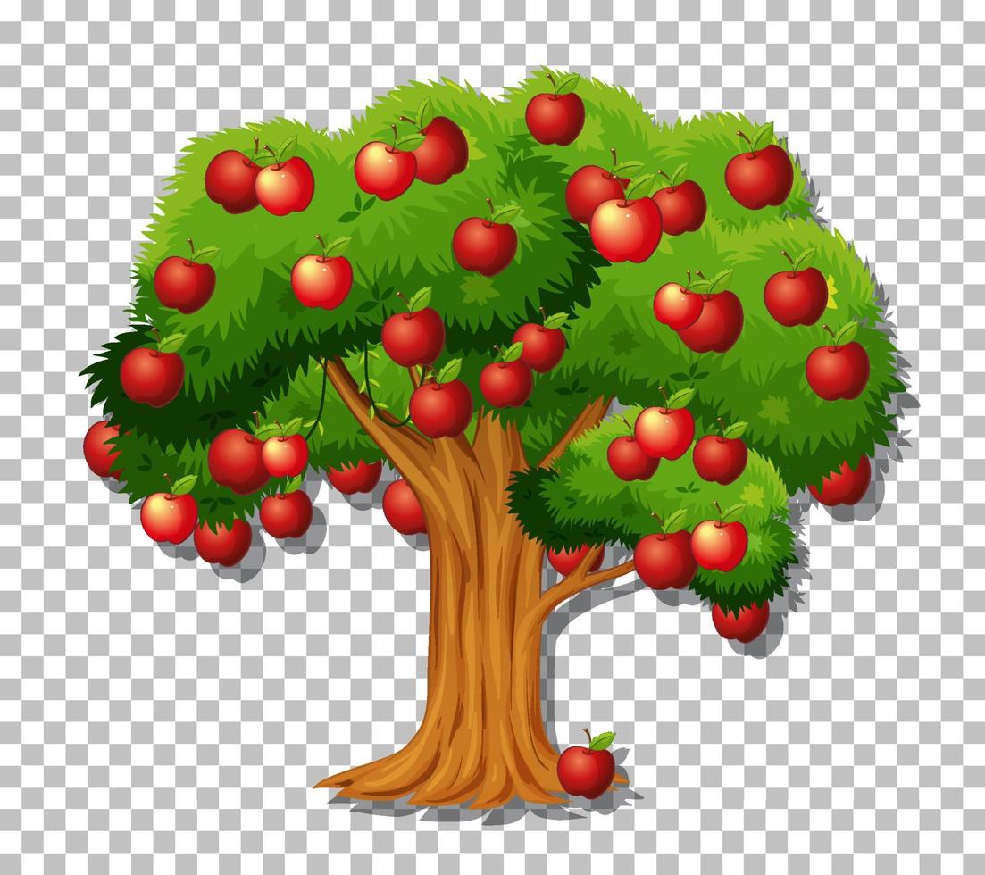 Apple tree isolated vector