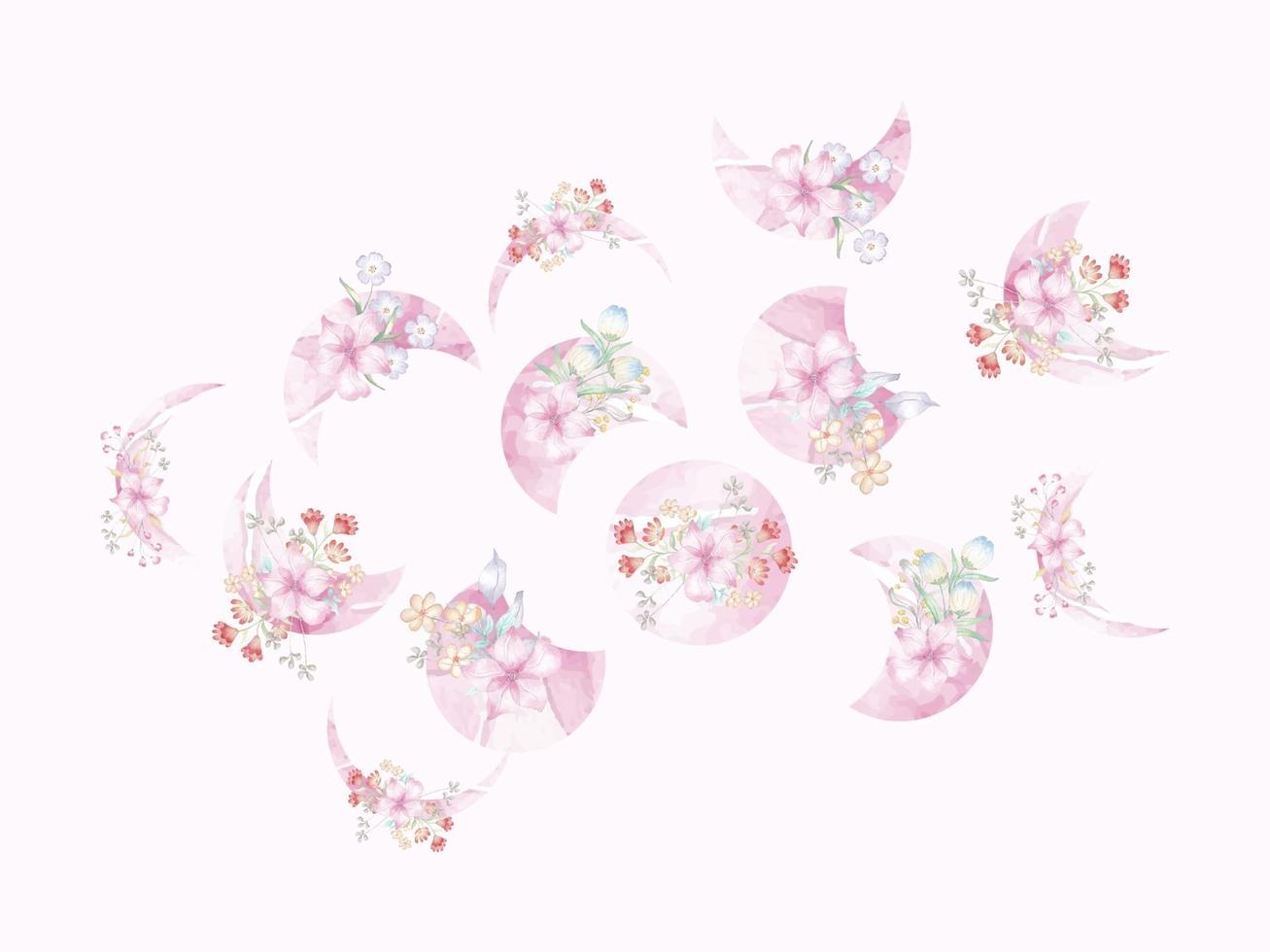 Watercolor moon phases watercolor flower vector