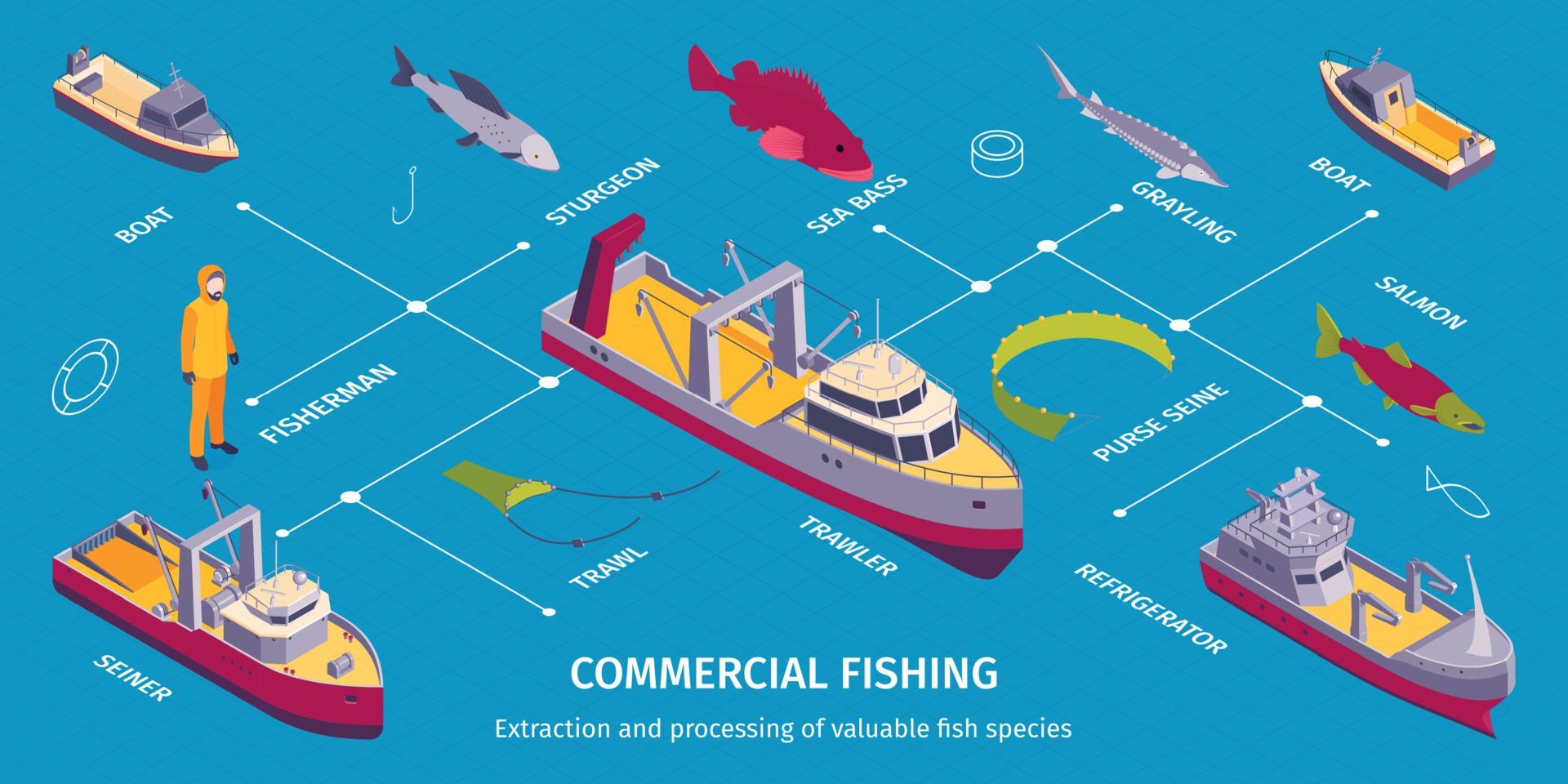 Commercial Fishing Boats Infographics 3471255 Vector Art at Vecteezy