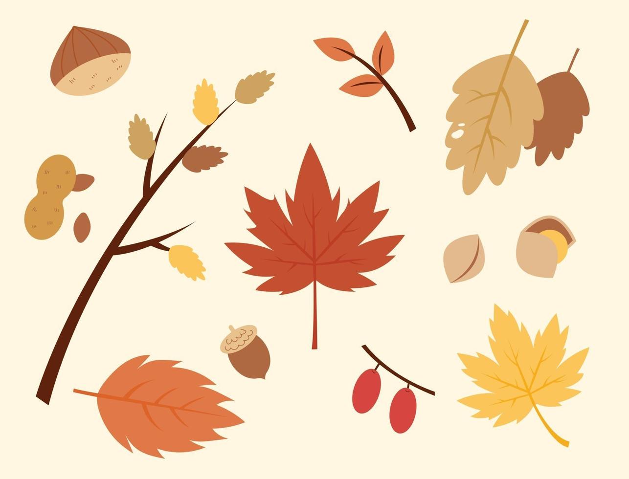 conjunto de hojas de otoño. vector