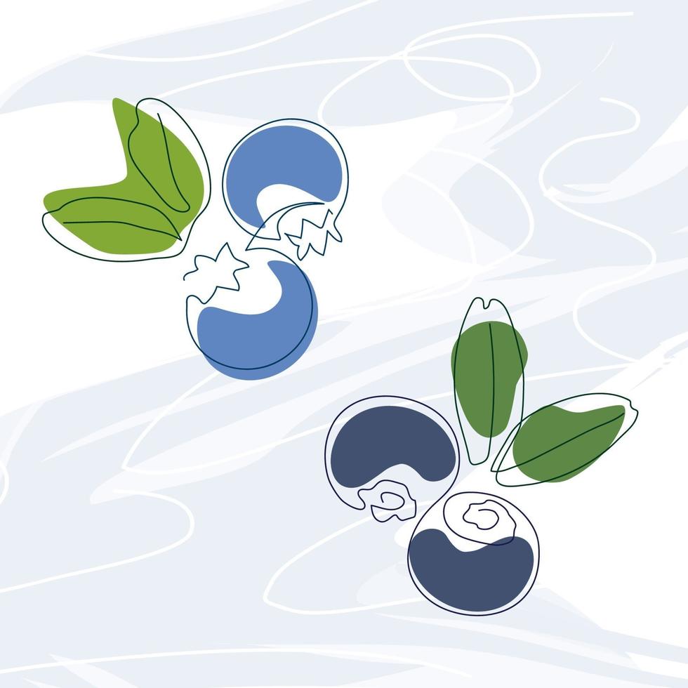 blueberries with leaves drawn in one solid line vector