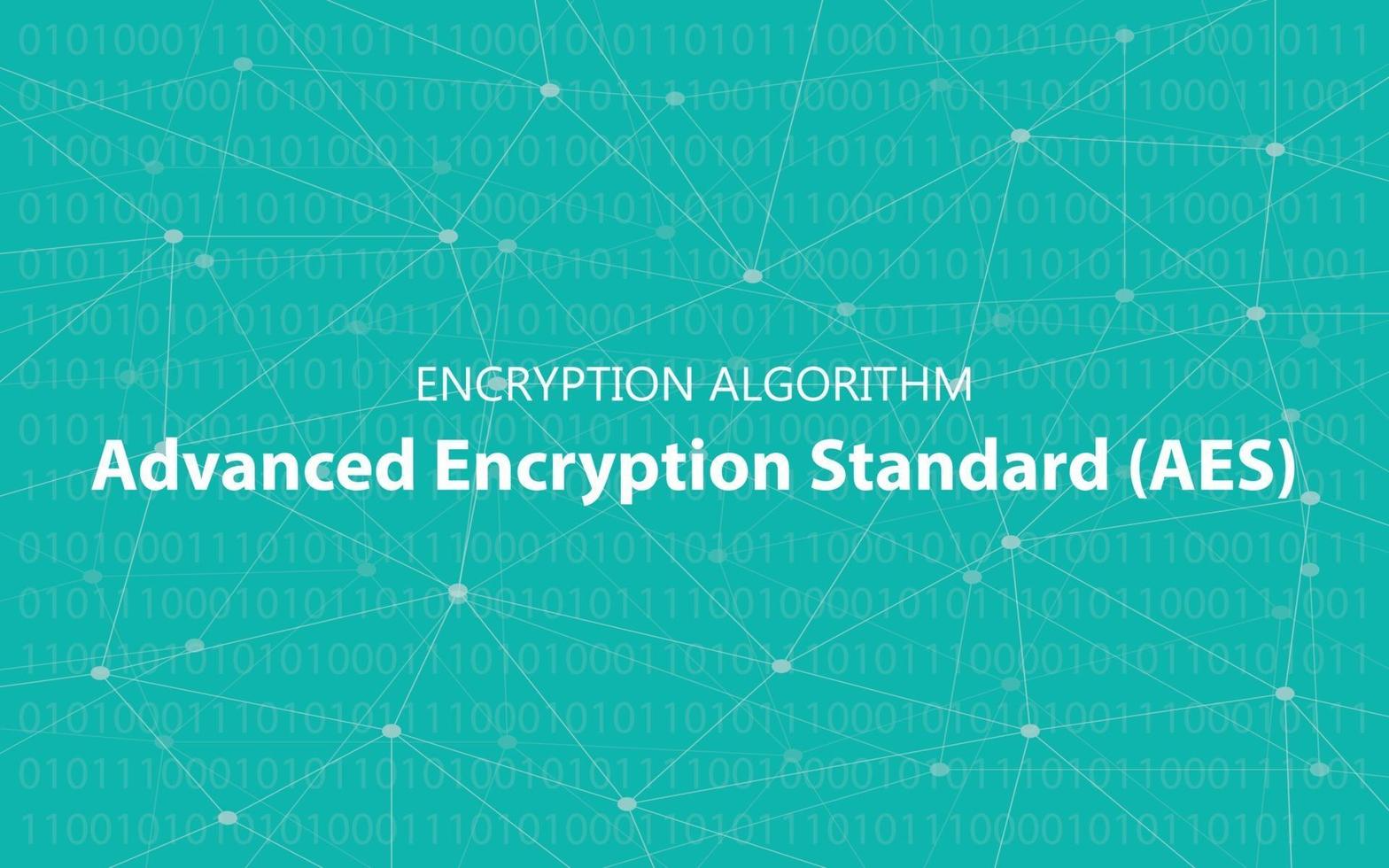 algorithm aes advanced encryption standard illustration vector