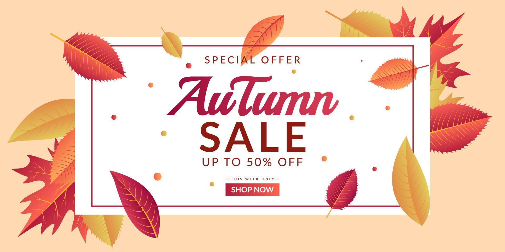 Autumn sale background template design vector