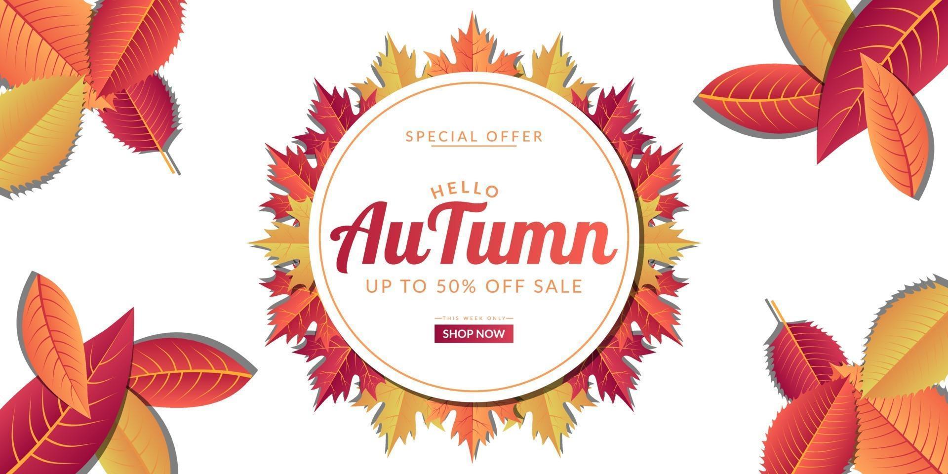 Autumn sale background template design vector