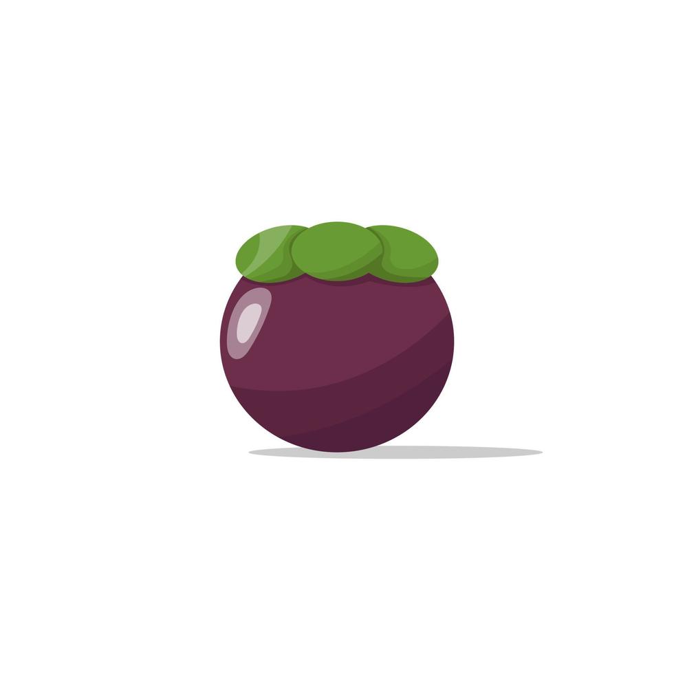 cartoon mangosteen fruit vector