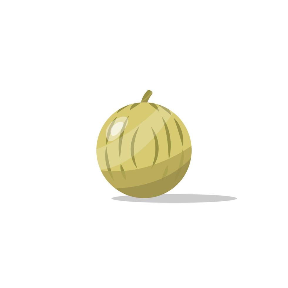 cantaloupe cartoon fruit vector