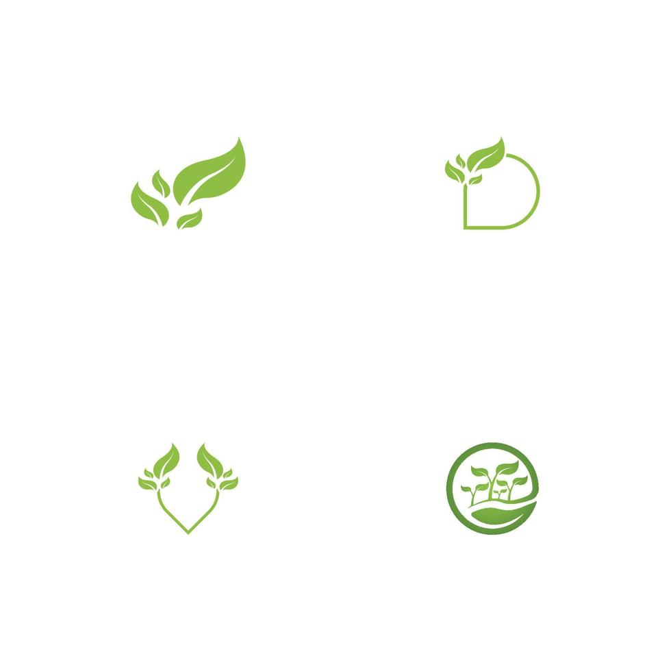 Logos of green Tree leaf ecology vector