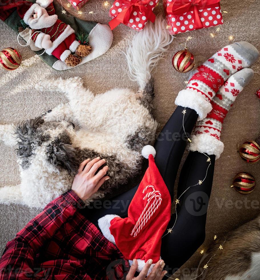 Top view of woman in funny socks celebrating Christmas with her dog photo