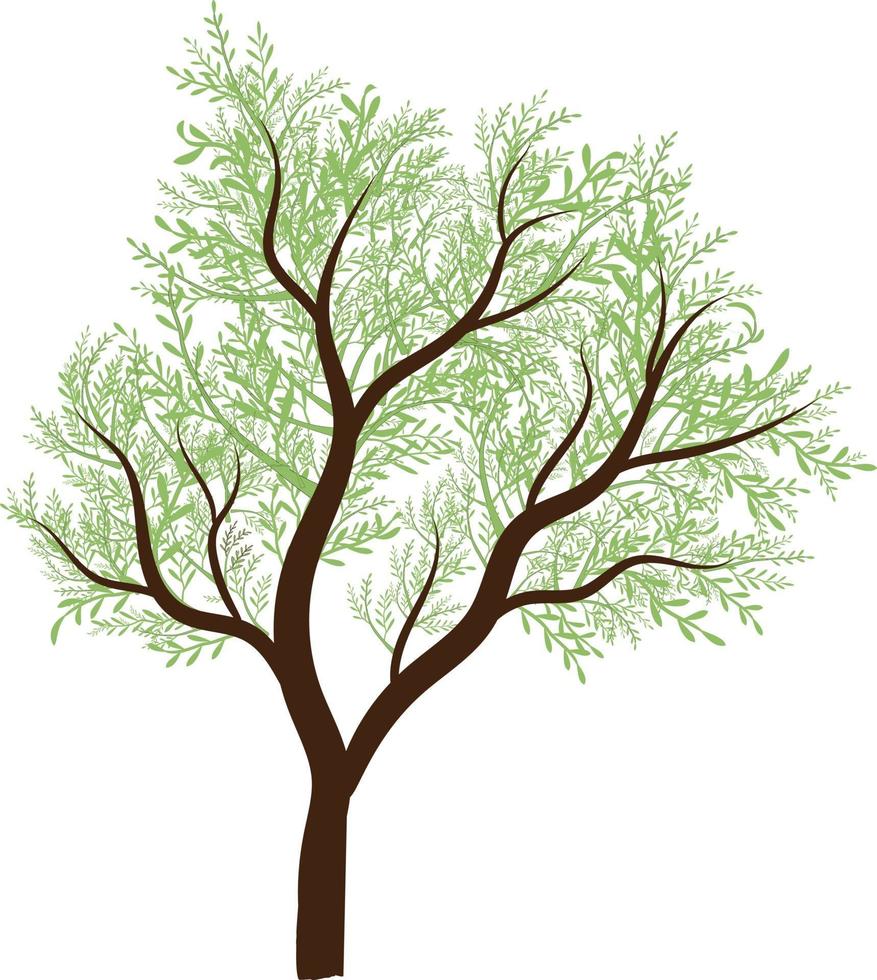 hermoso árbol verde primavera vector