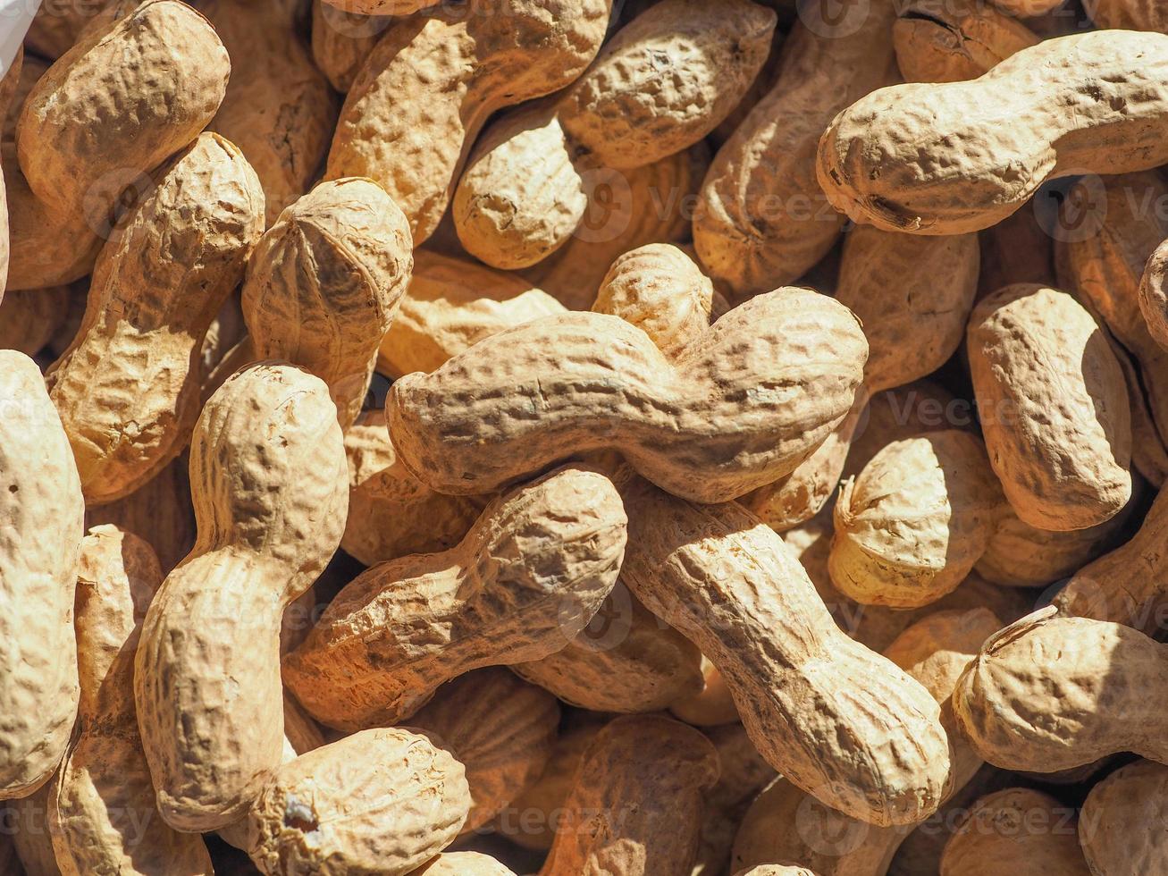 Peanuts, useful as a background photo