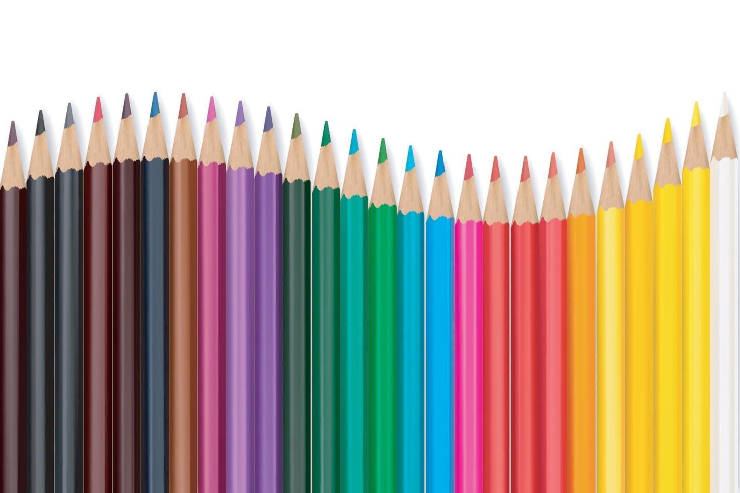 Pencil case with colored pencils for drawing Vector Image