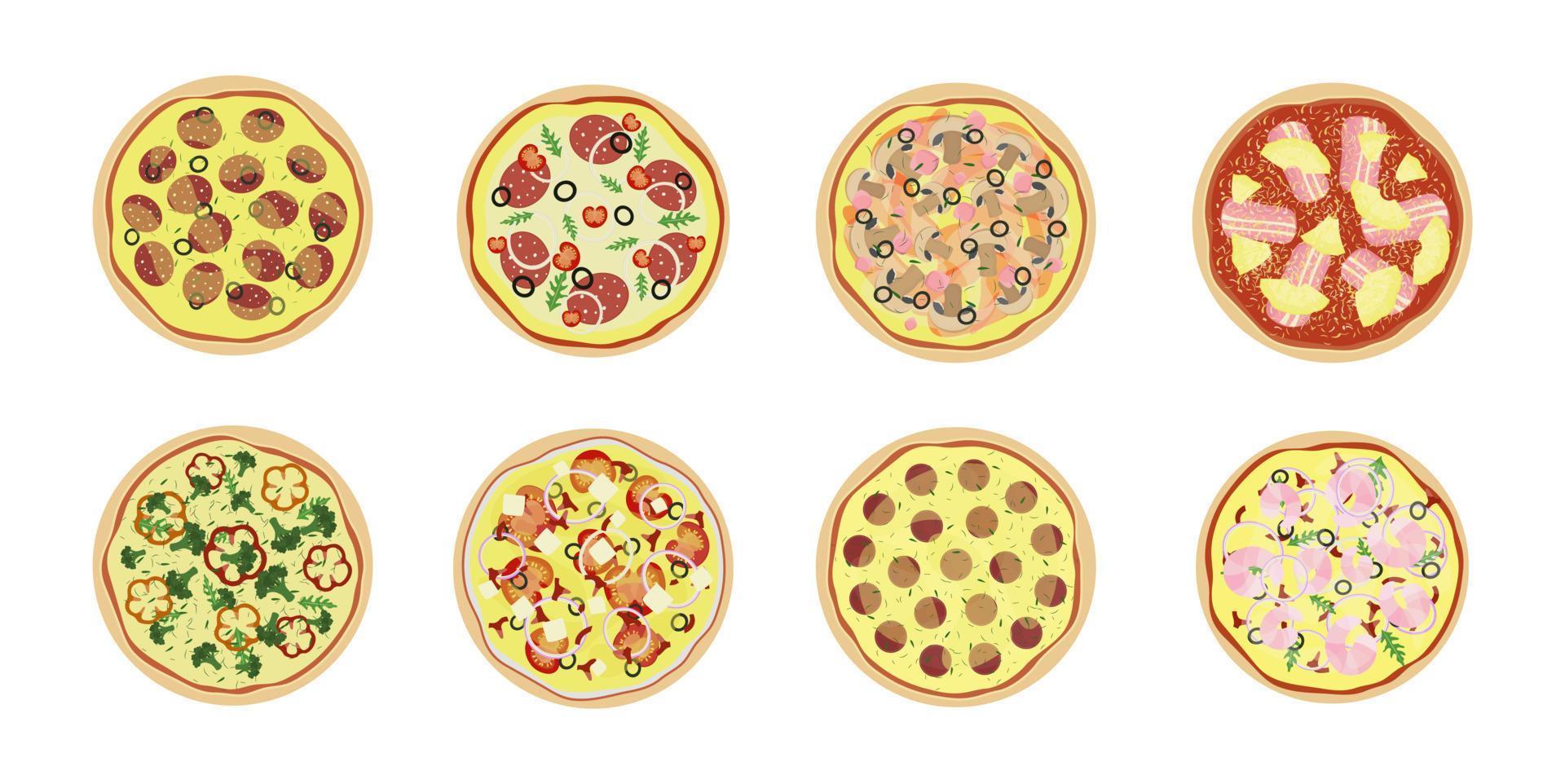 conjunto de pizza de diferentes tipos. vista superior. vector