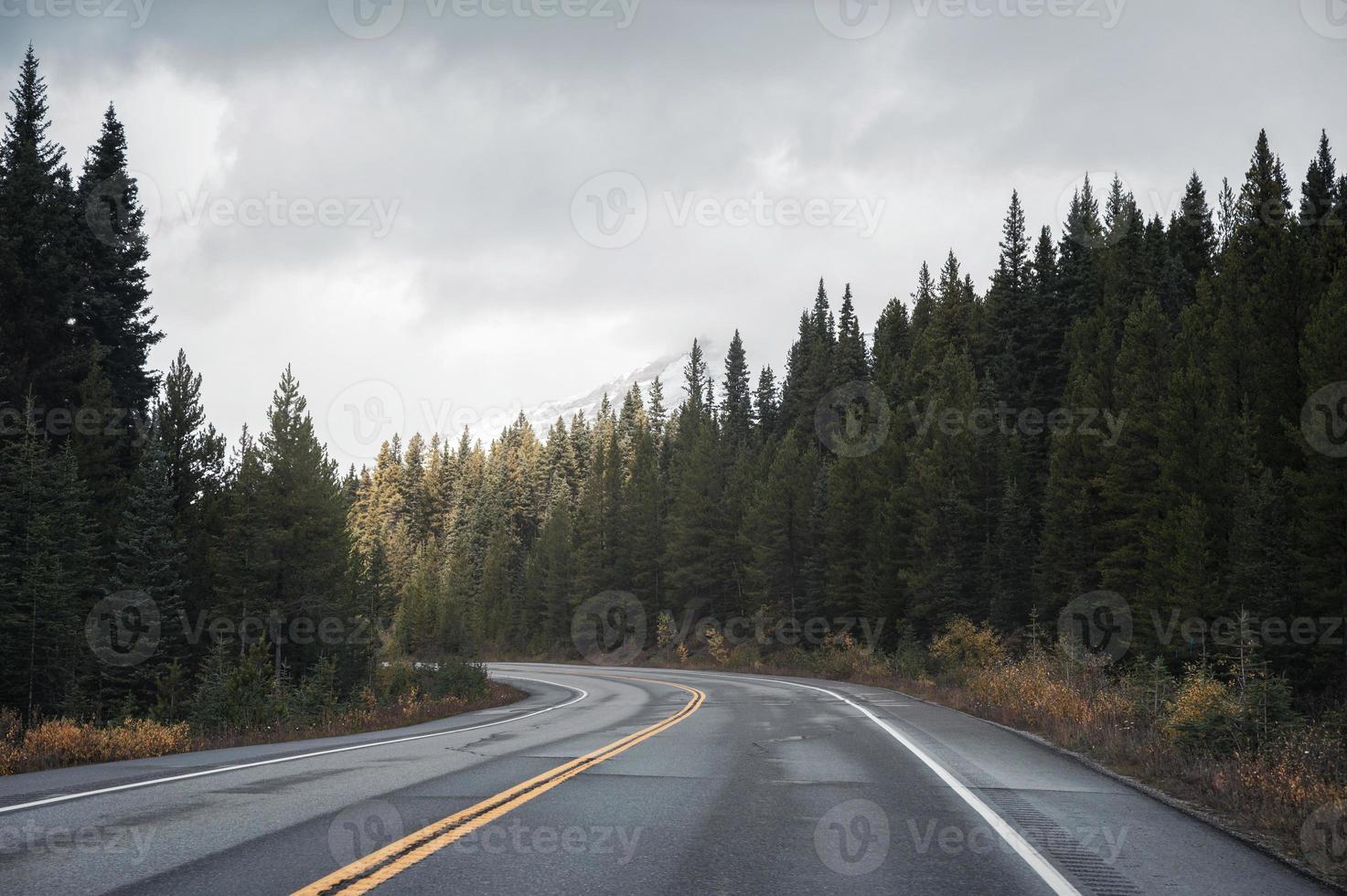 viaje por carretera en la carretera con la luz del sol en el bosque de pinos en nublado en el parque nacional banff foto