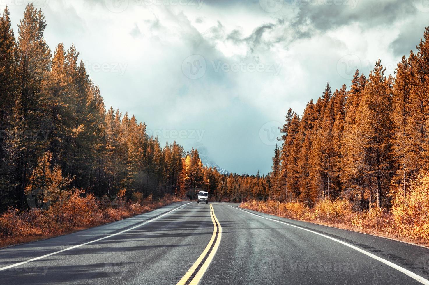 Asphalt highway in colorful autumn forest and overcast sky at Banff national park photo