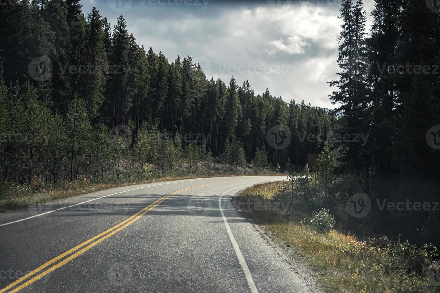 Viaje por carretera de asfalto en curva en un bosque de pinos en el Parque Nacional Banff foto