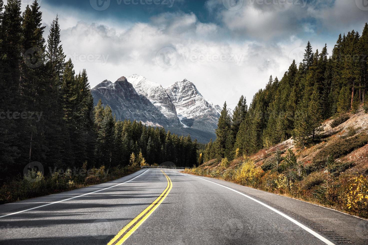 Carretera de asfalto y montañas rocosas en el bosque de pinos en el parque nacional de Banff, Canadá foto