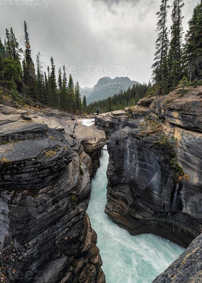 Traveler standing on Mistaya Canyon with pine forest at Icefields Parkway photo